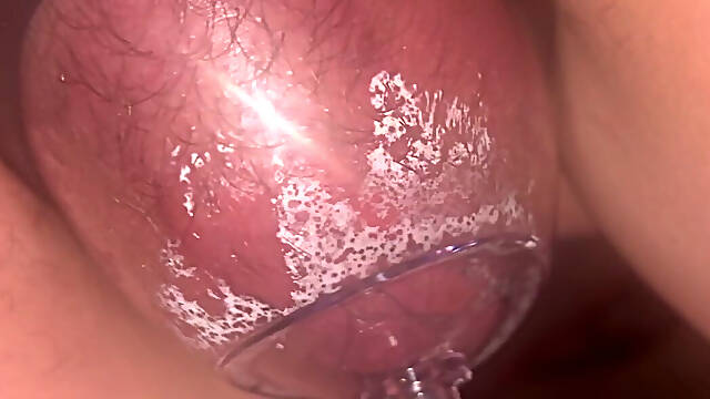 Nipple Pumps, Pussy Pump and Vibrator